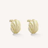 Scallop Shell Stud Earrings